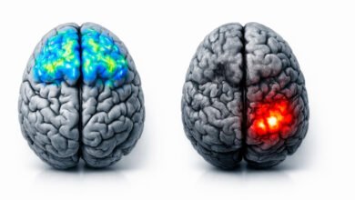 Digital detox brain illustration. Brain scan comparison showing reduced prefrontal cortex activity and increased amygdala reactivity in heavy screen users versus balanced digital use patterns.