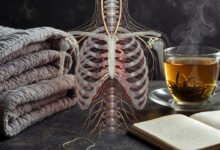 Burnout recovery guide for high achievers
