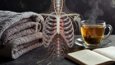 Burnout recovery guide for high achievers