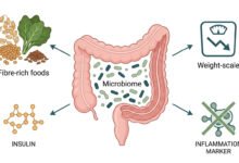 Scientific infographic illustrating the fibermaxxing & metabolic health connection, showing a stylised colon cross-section surrounded by four outward-pointing clusters representing gut microbiome diversity, weight reduction, insulin sensitivity, and reduced inflammation. Clean white background with no people or photography.